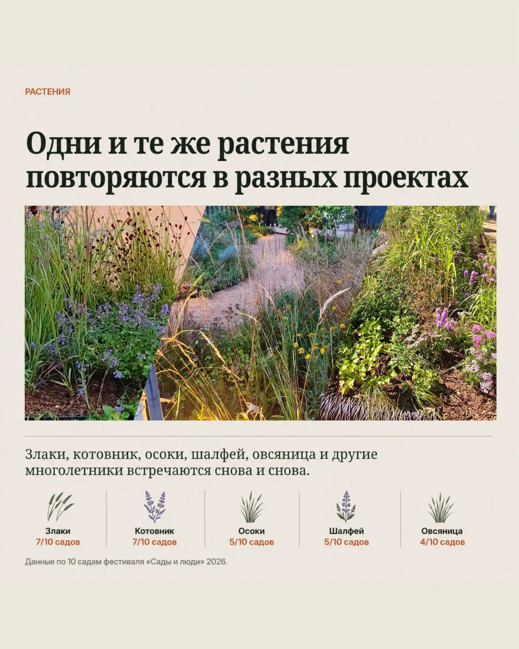 03 · Растения: основа посадок — злаки и природное разнотравье