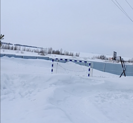 Планирование благоустройства участка в первый год