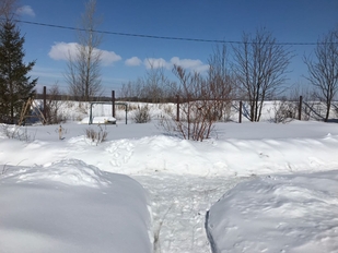 Благоустройство участка в первый год владения в Уфе