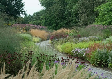 Обзор трендов ландшафтного дизайна 2025 года