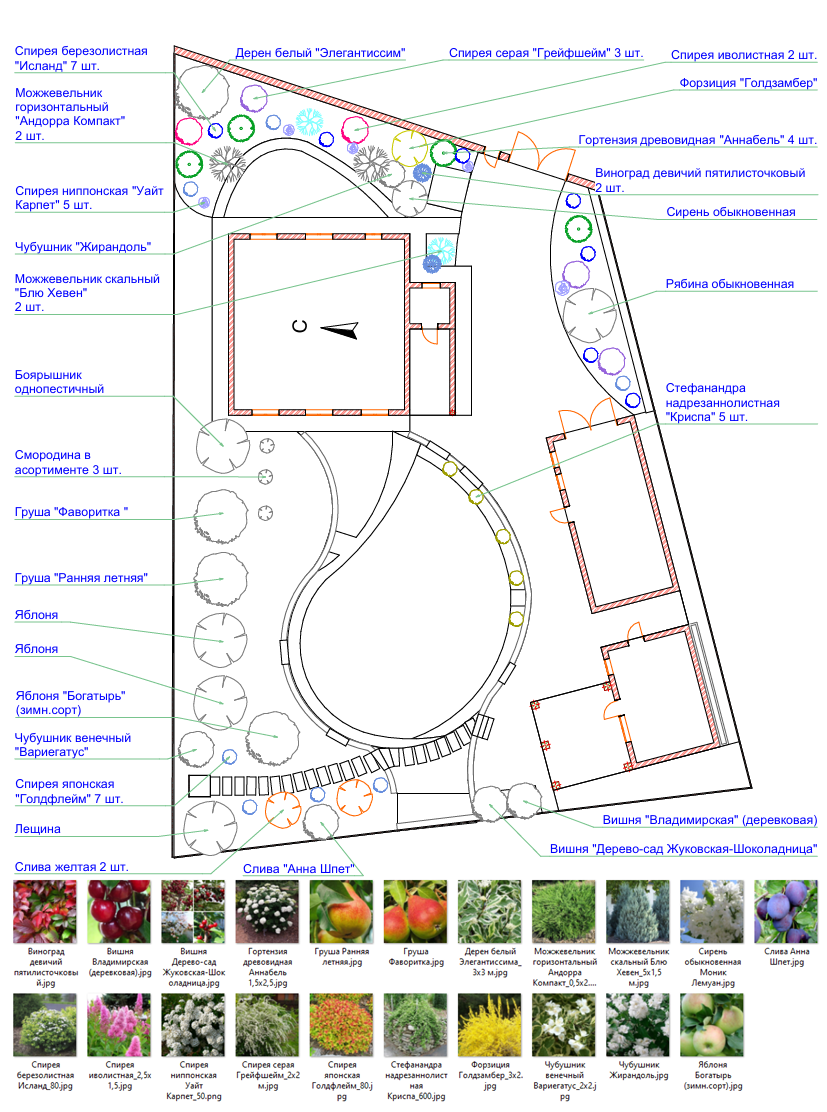 Дендроплан