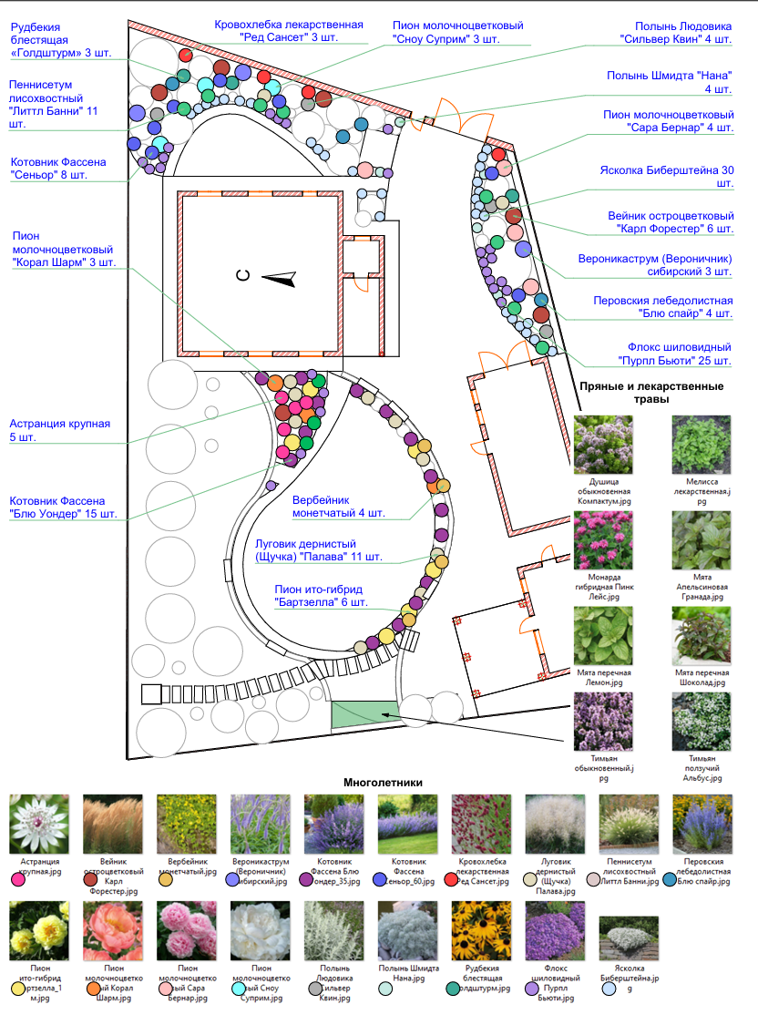 Дендроплан. Цветник