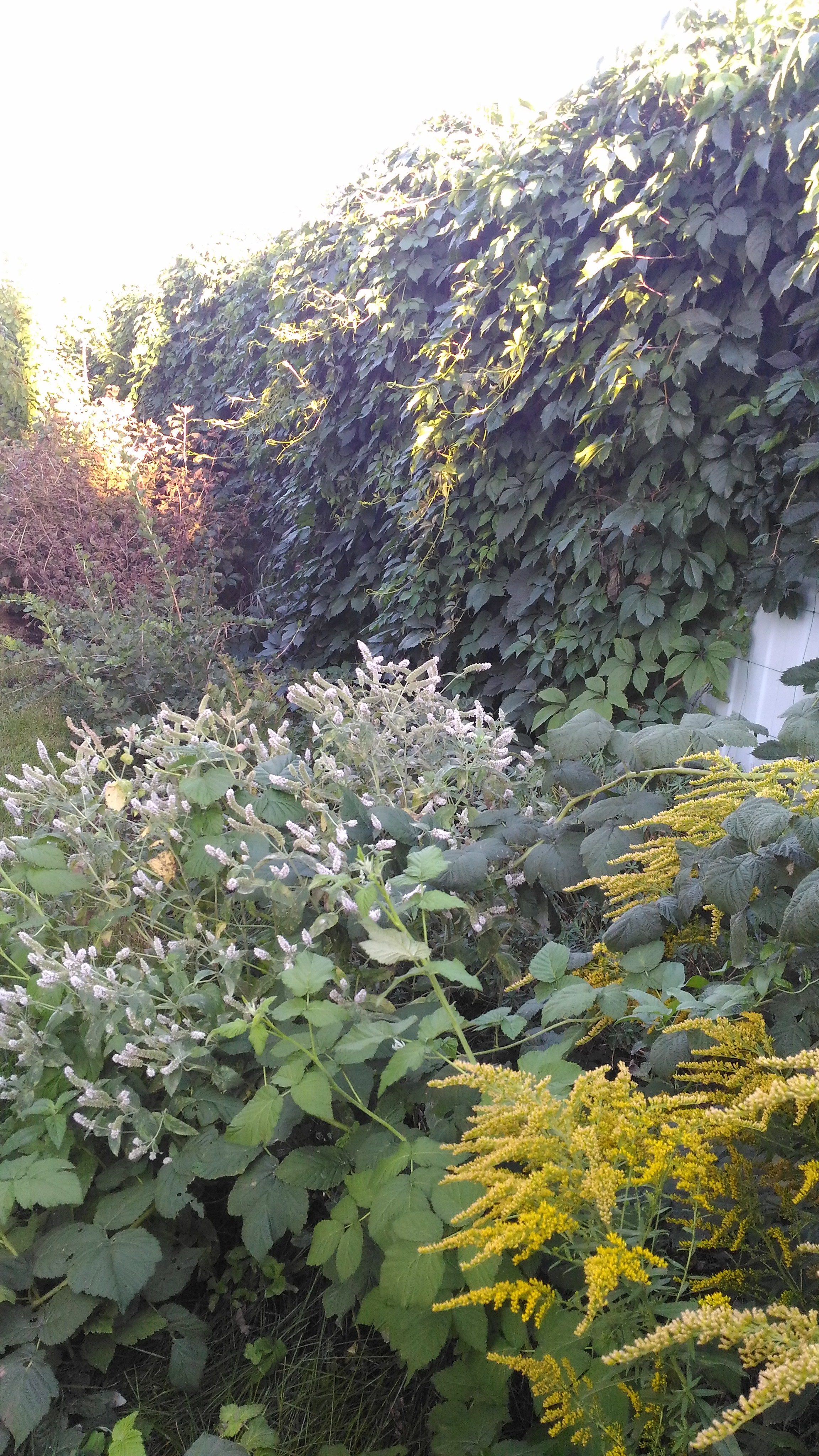 Изображение 7