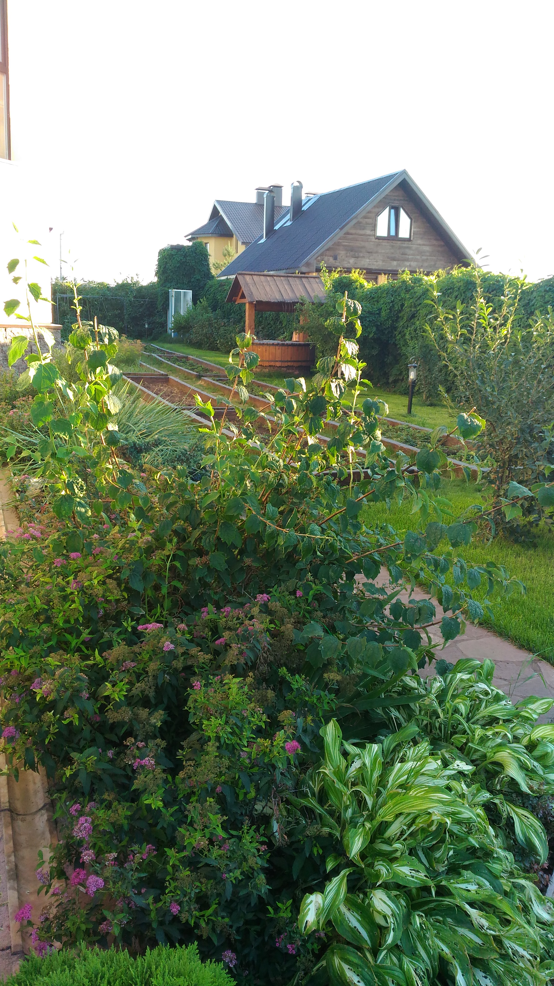 Изображение 8