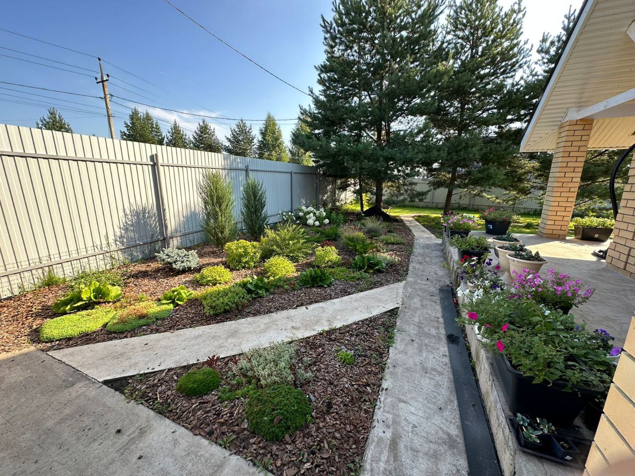 Изображение 3