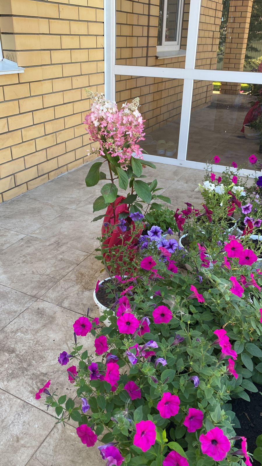 Изображение 7