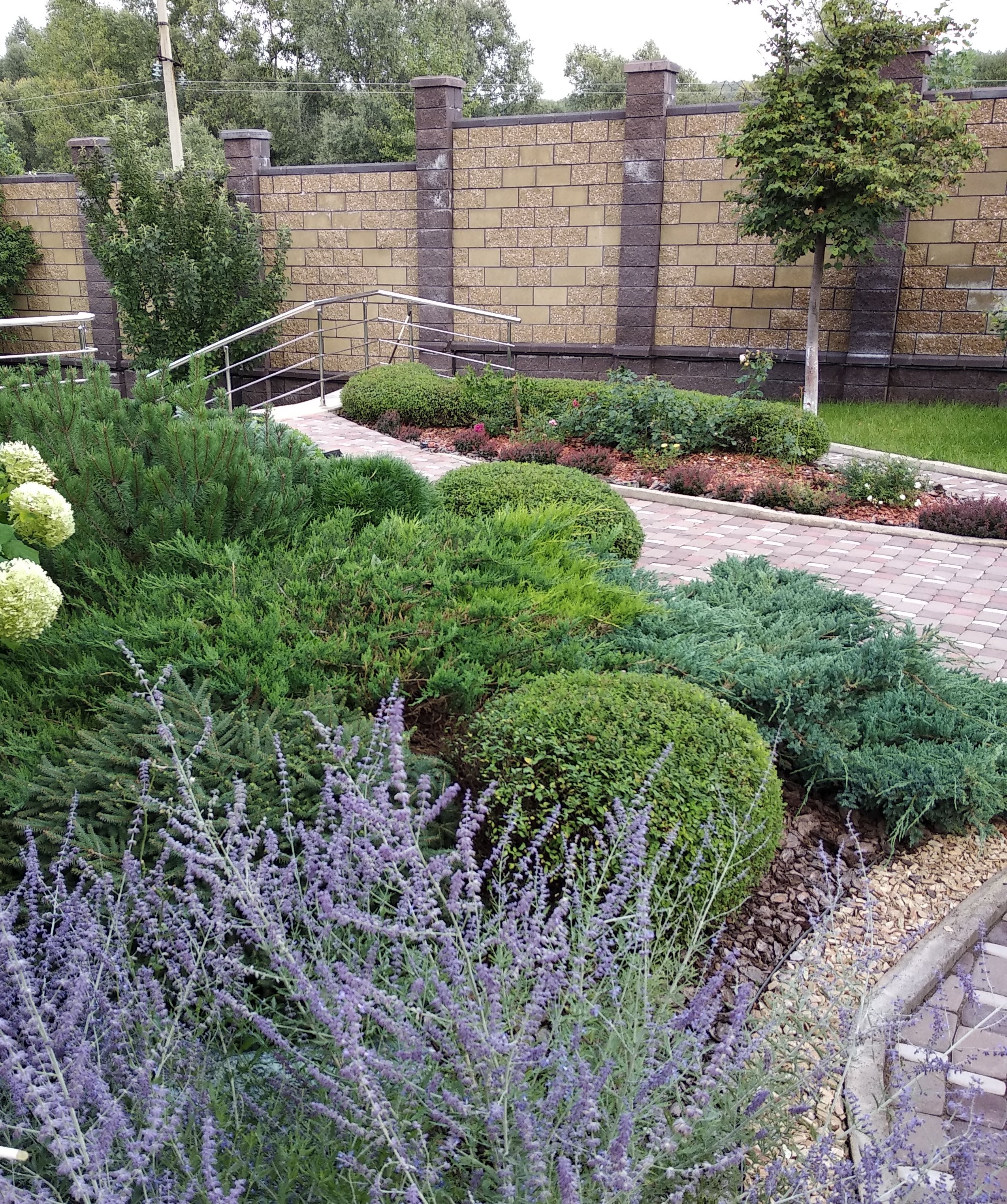 Изображение 3