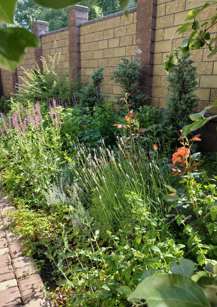 Изображение 4