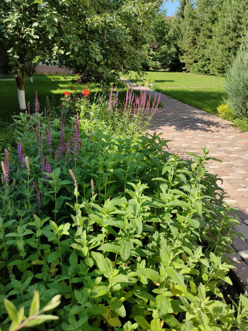 Изображение 6