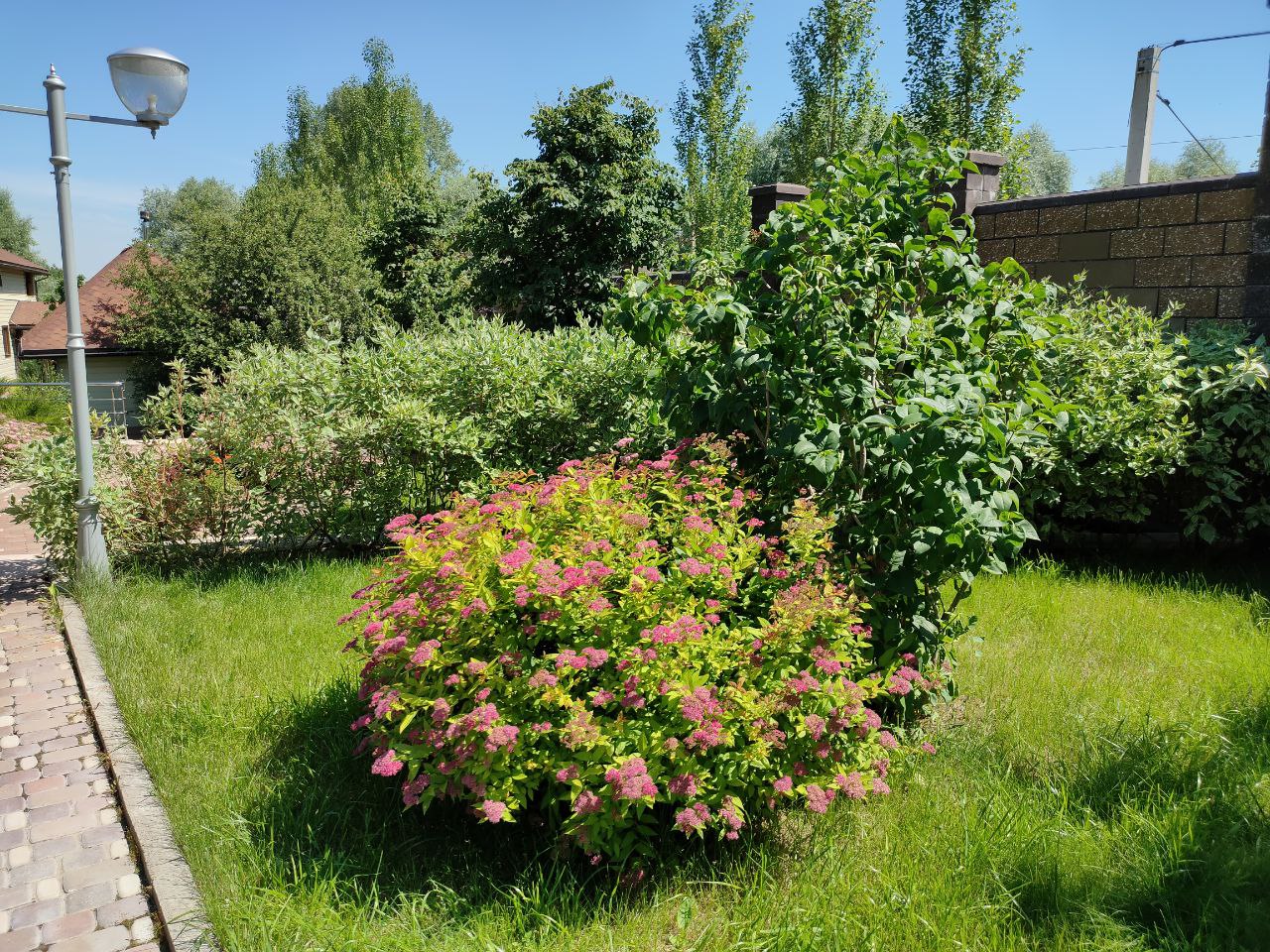 Изображение 7