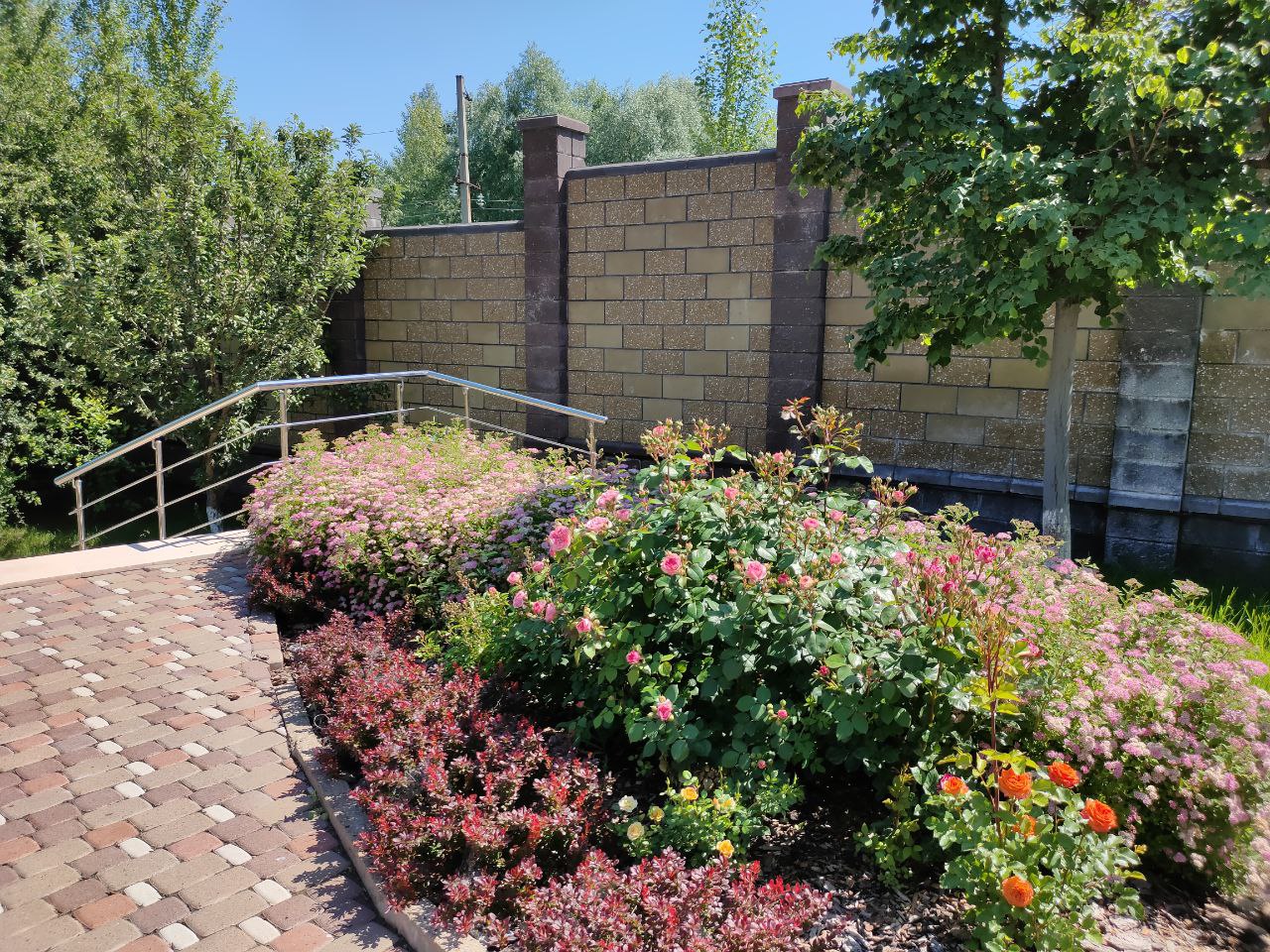 Изображение 8