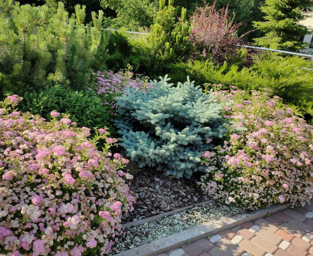 Сад с душой Прованса