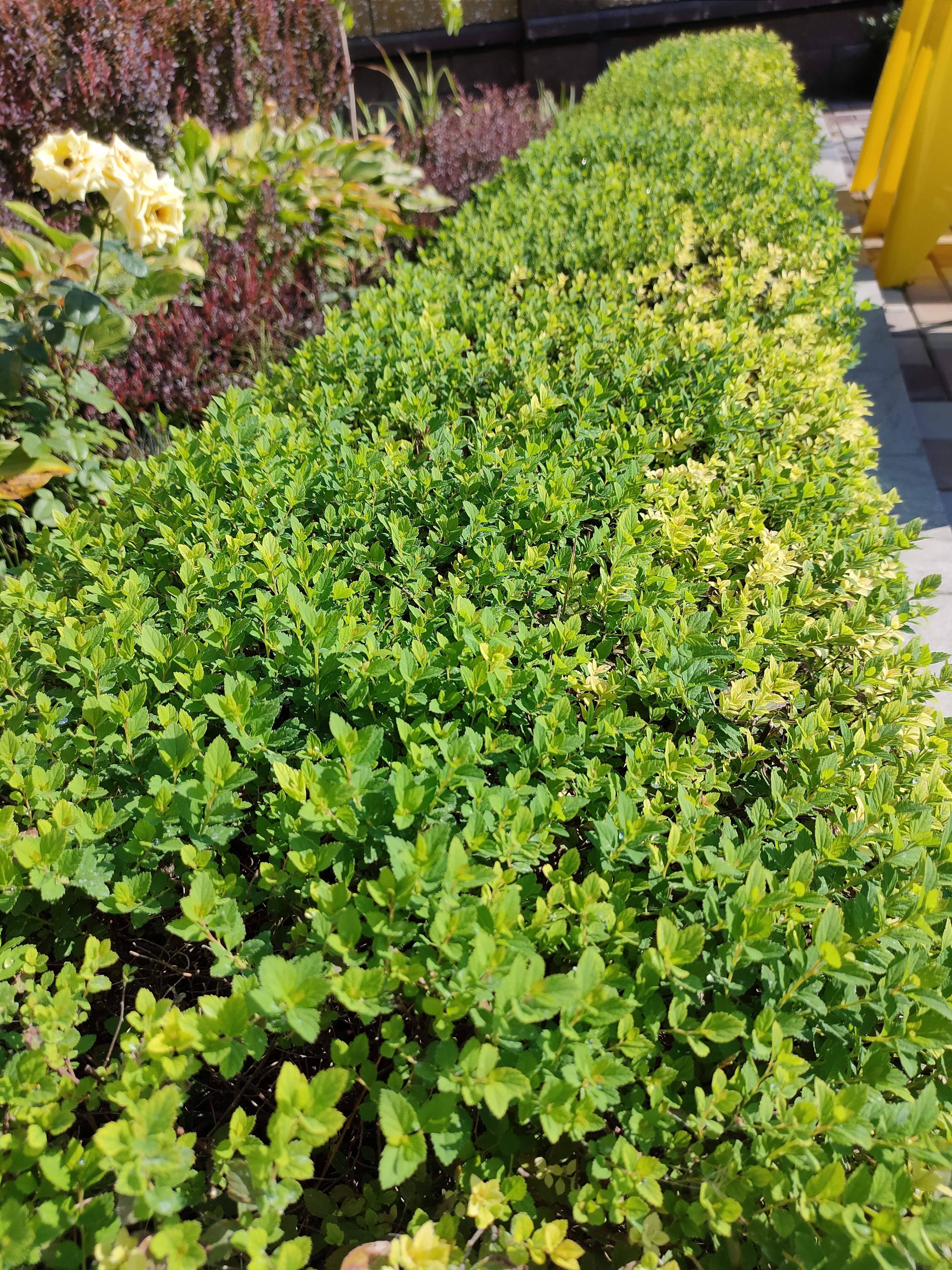 Изображение 10