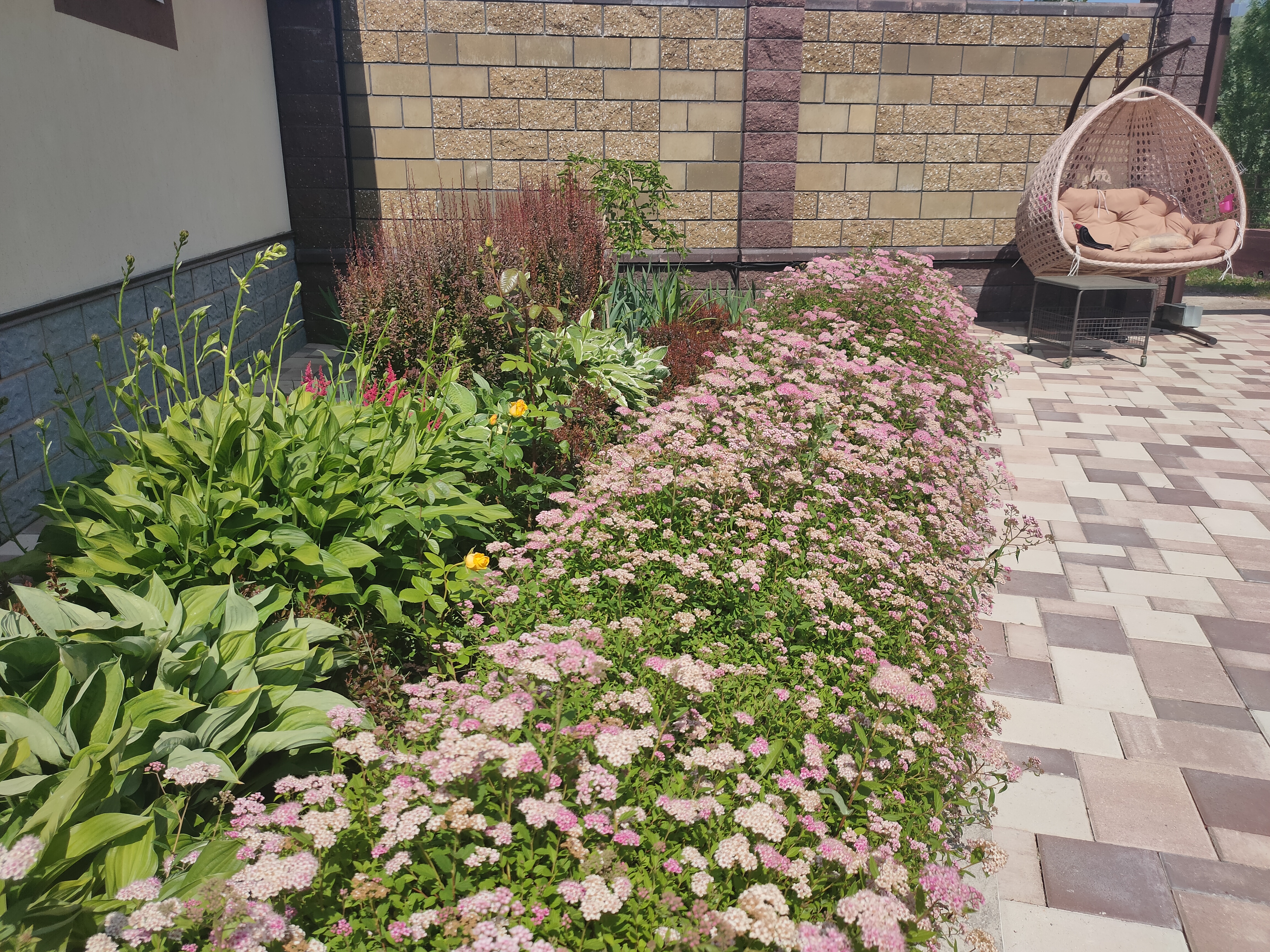 Изображение 4