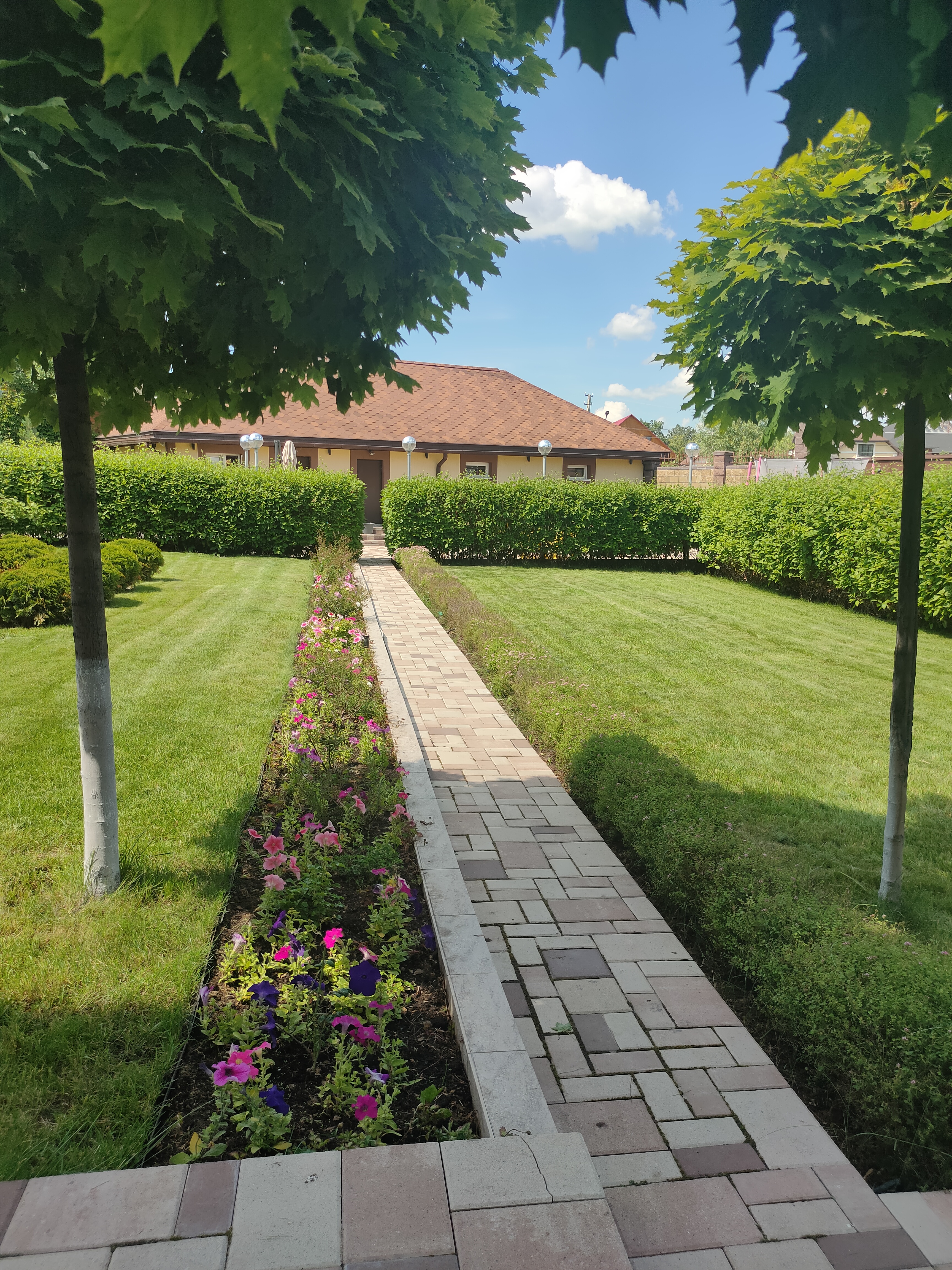 Изображение 5