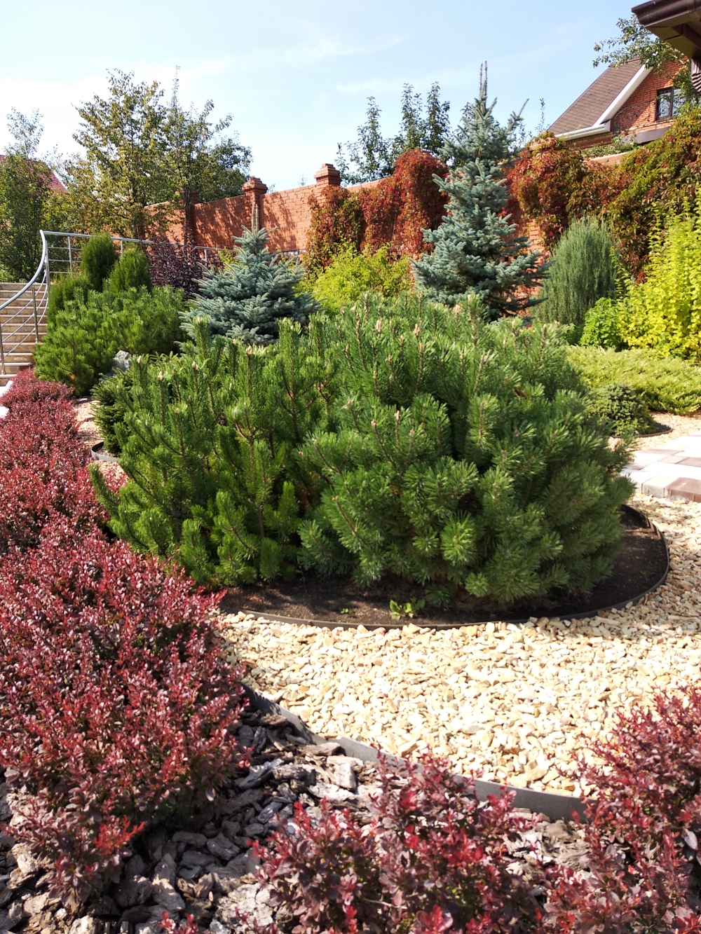 Изображение 8