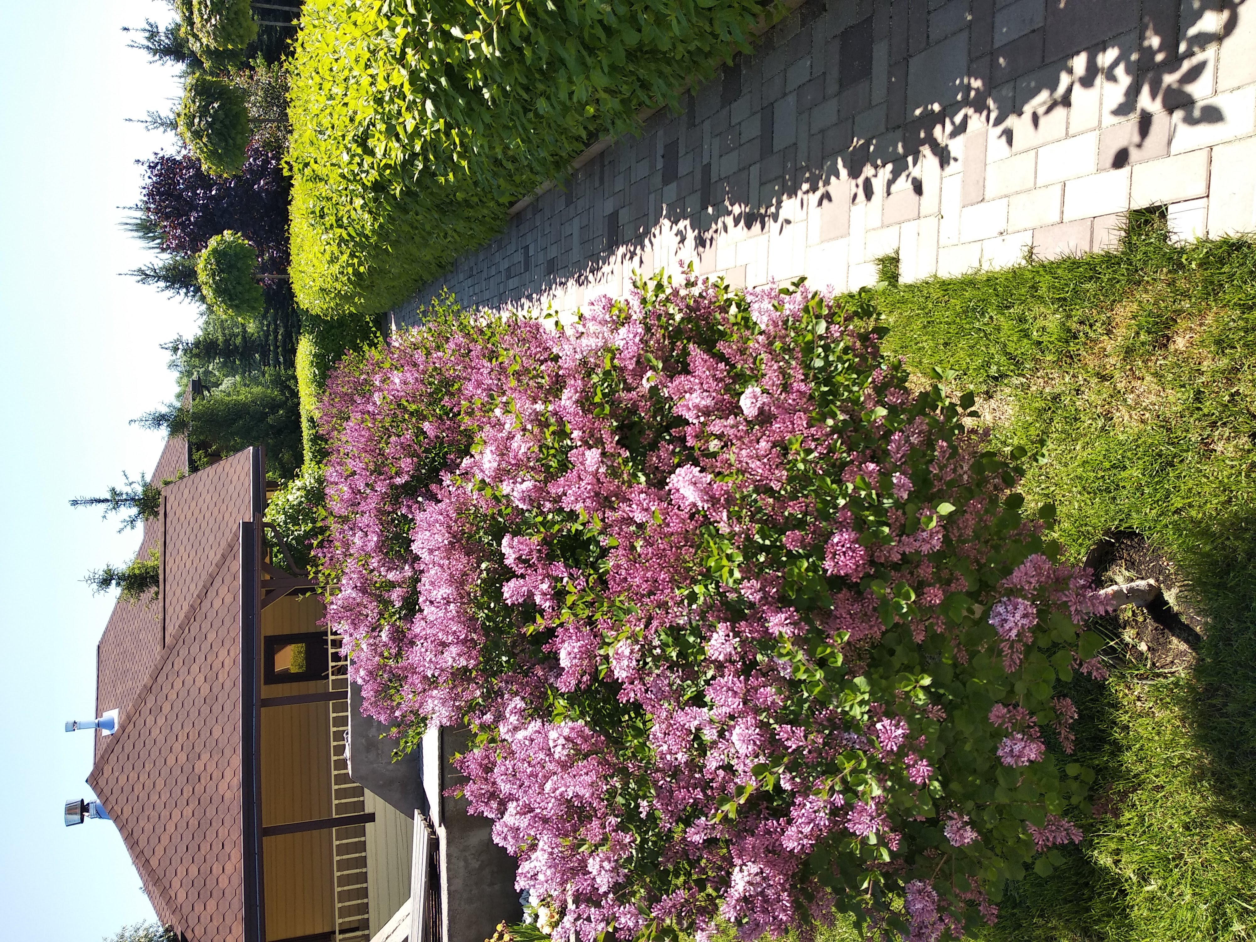 Изображение 9