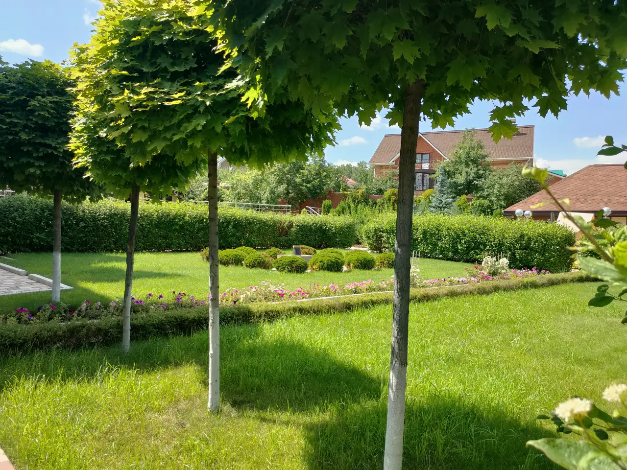 Сад в развитии: девять лет эволюции