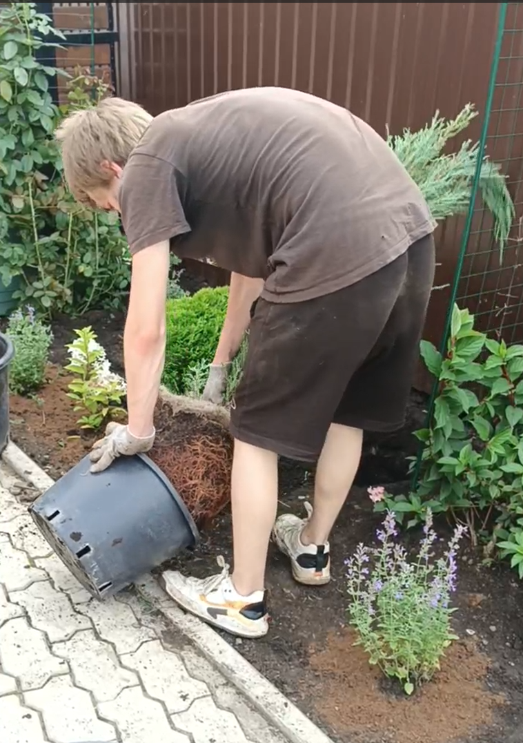 Изображение 4