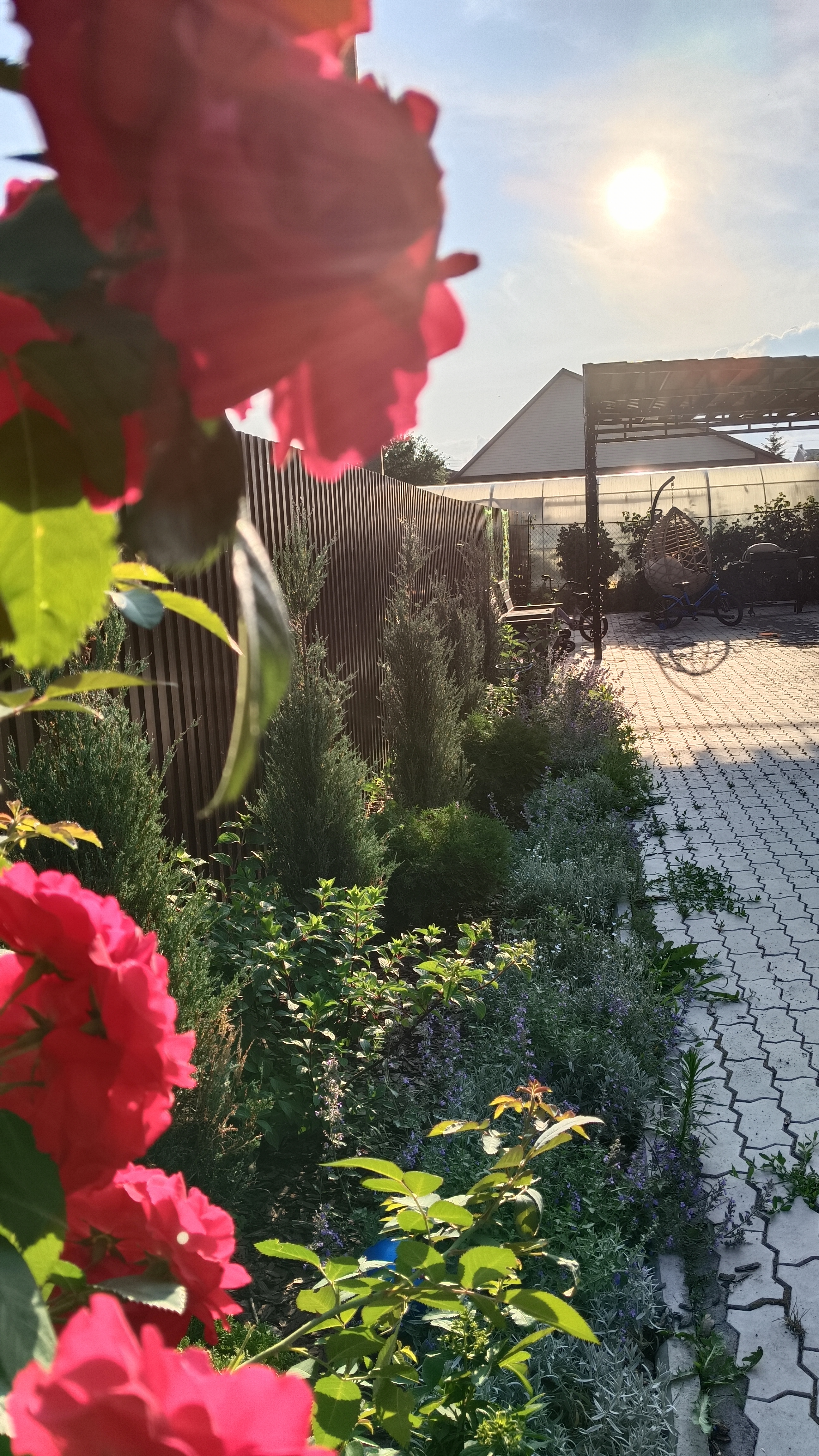 Семейный сад на шести сотках