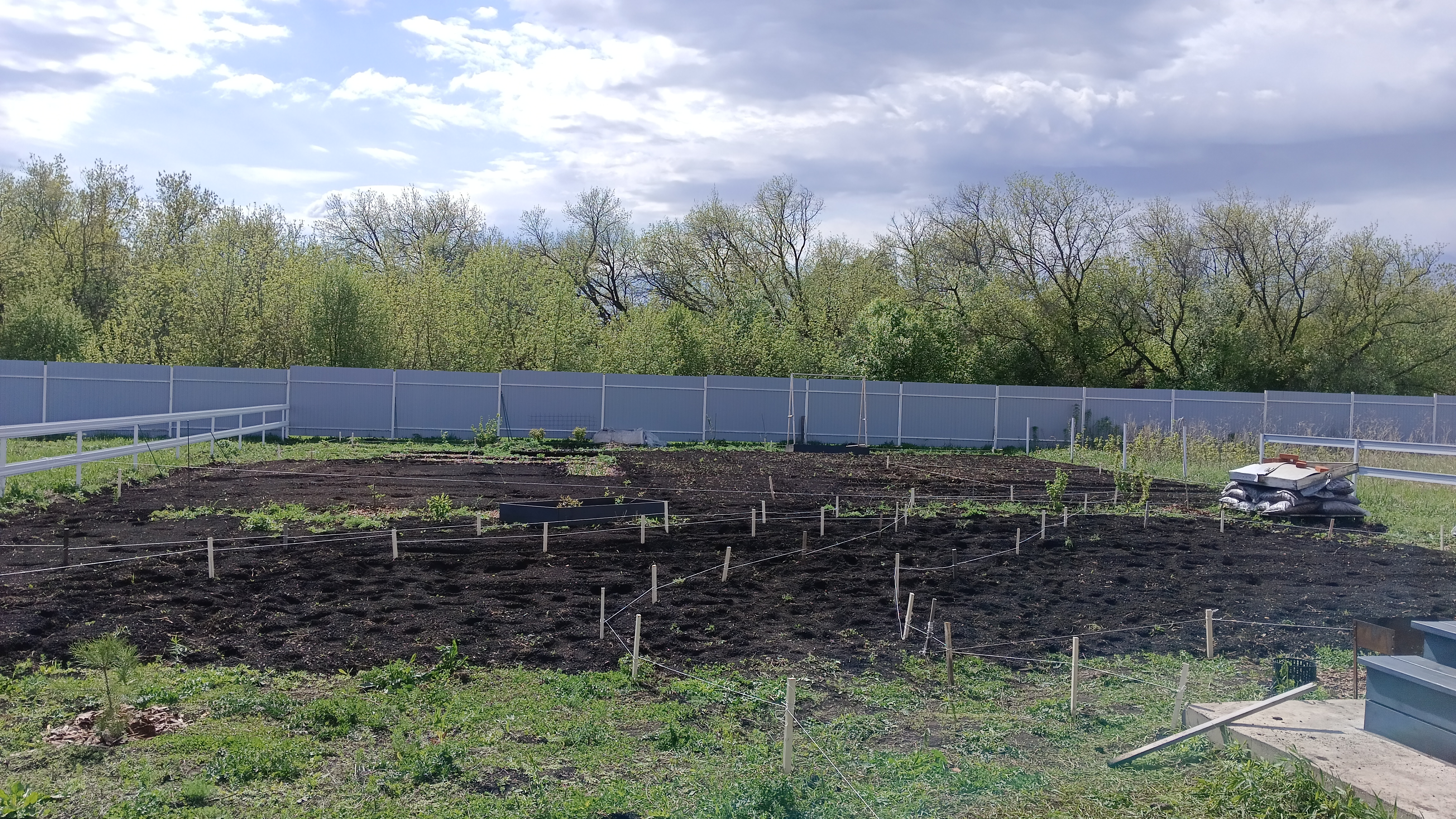 Сад как чистый холст