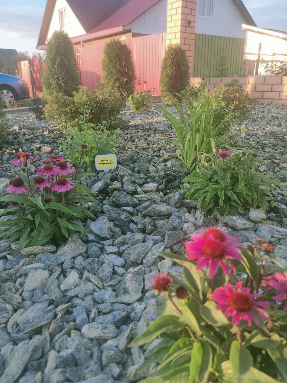 Изображение 4