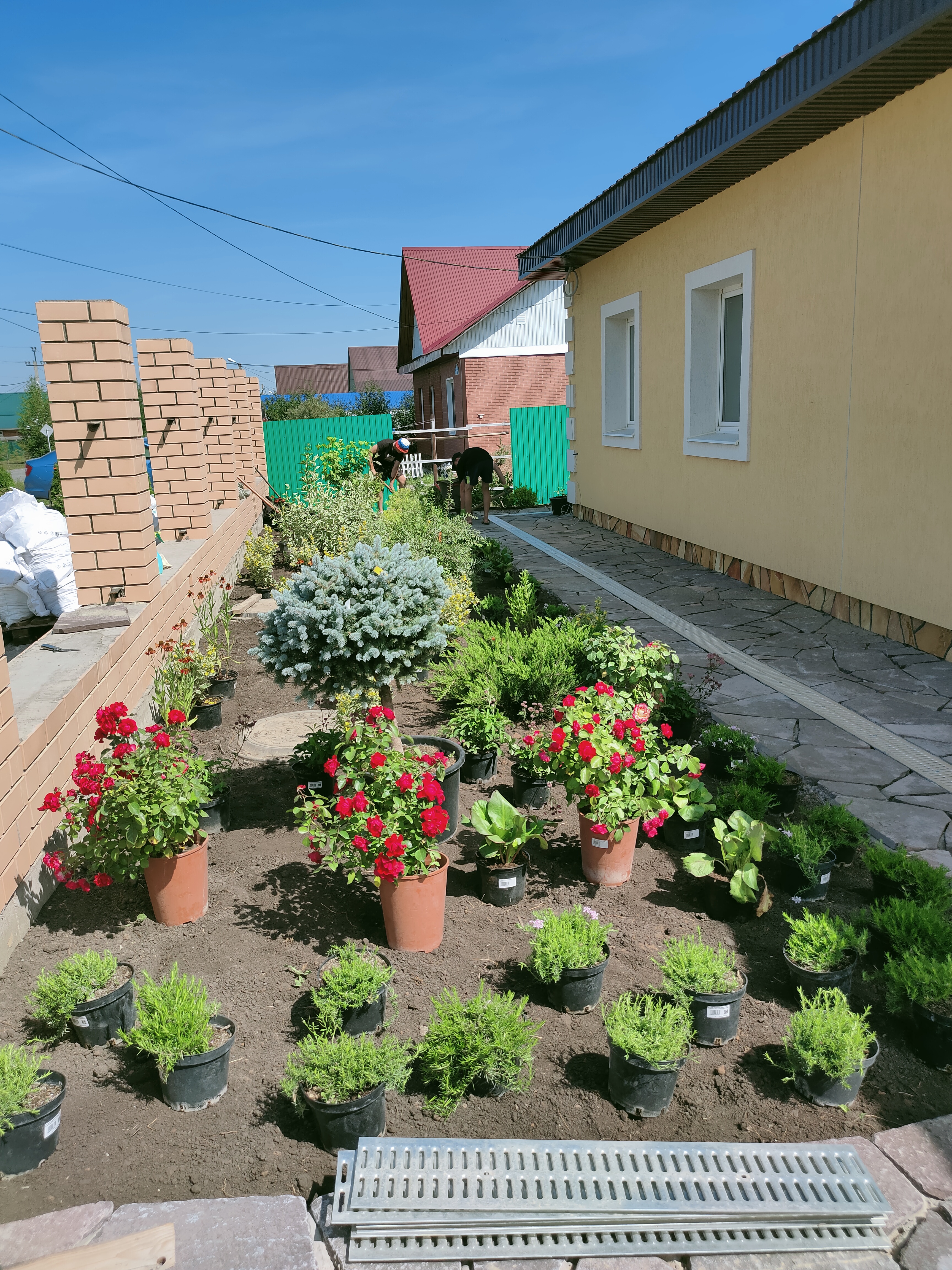 Изображение 6