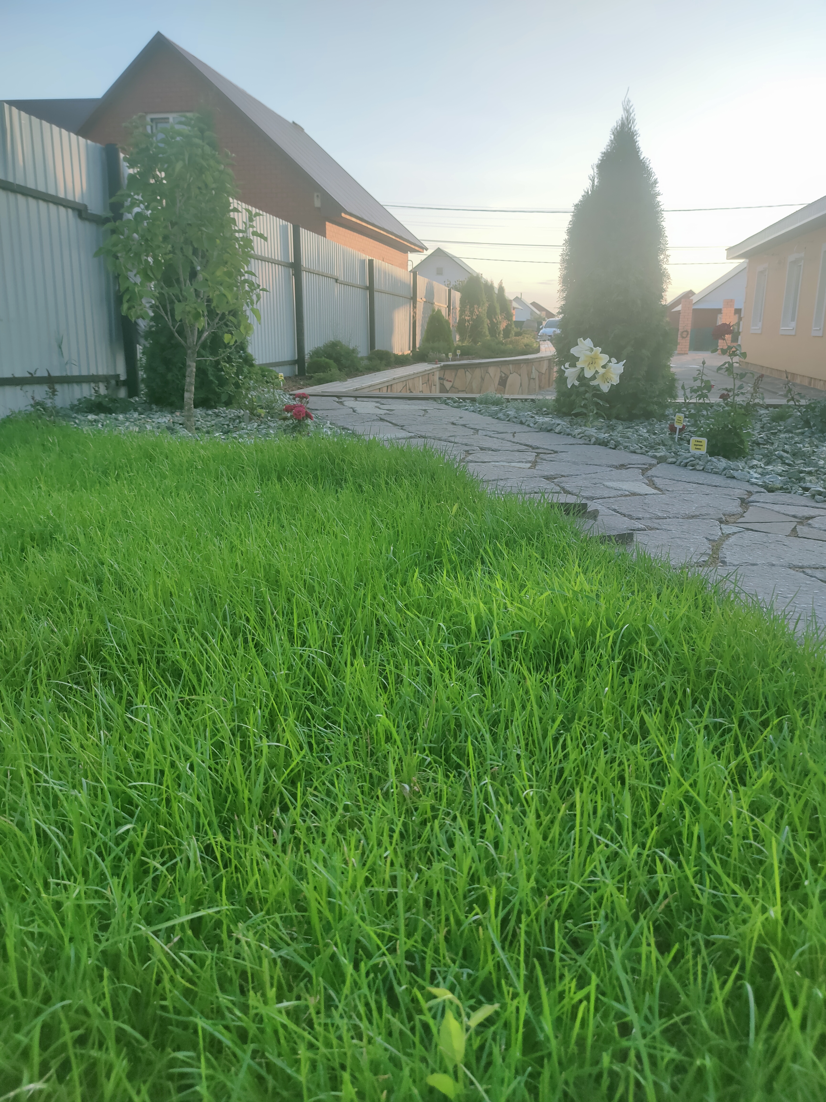 Максимум функций на 12 сотках