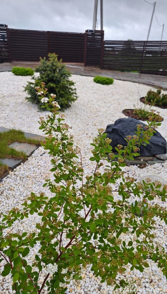 Пространство света и тишины