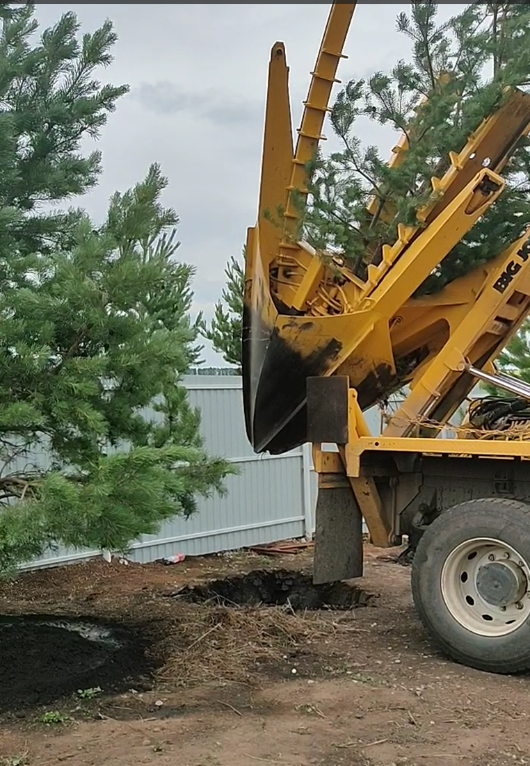 Изображение 5